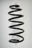 SPIDAN 56611 Coil Spring